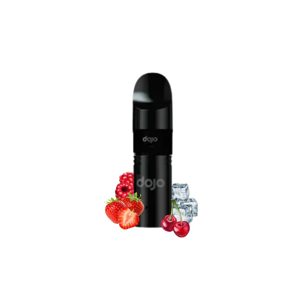 DOJO BLAST2000 GO Prefilled Pod