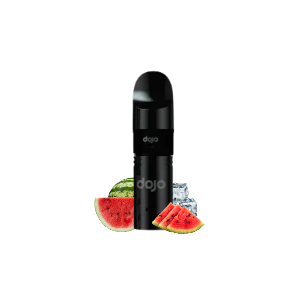 DOJO BLAST2000 GO Prefilled Pod