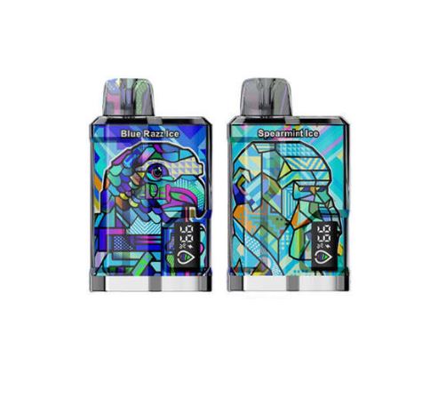 2 Dragbar B12000 Pack Descartable